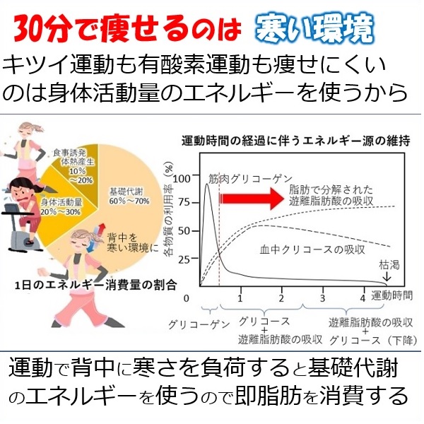 運動習慣を取り入れる