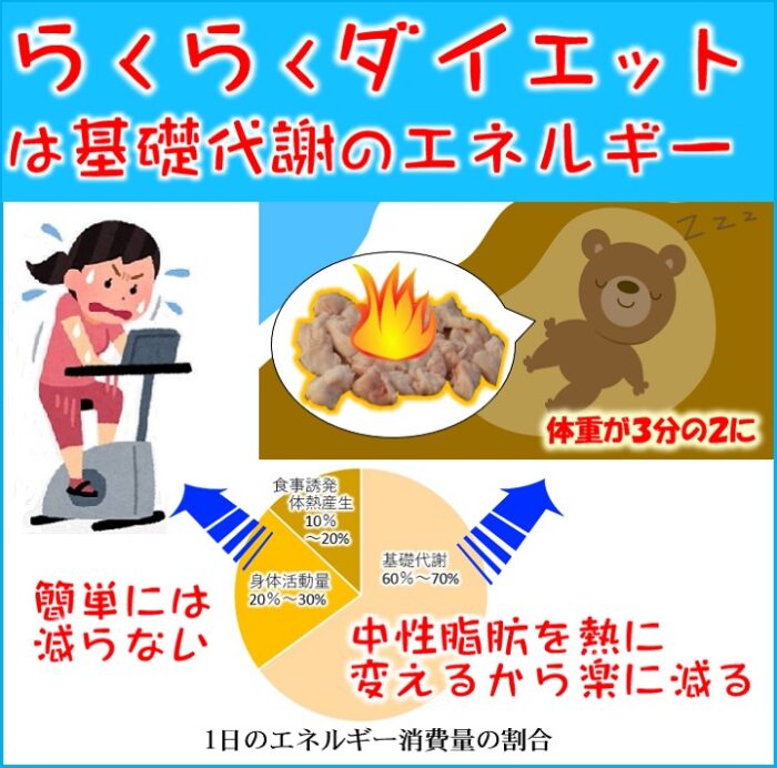 在宅勤務で知った減量方法！無理なく続けられるらくらくダイエット