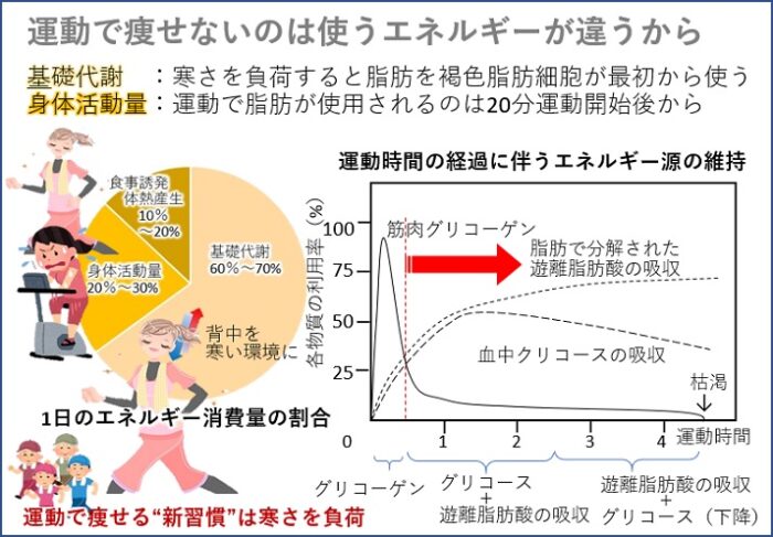 有酸素運動で痩せると思うのは間違い！ そこでひと工夫・・・