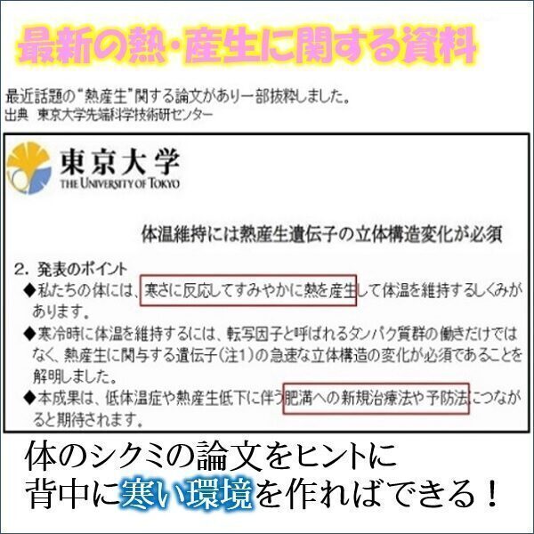 ご存知ですか？脂肪燃焼するメカニズム