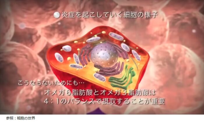 妊活にとって大事なミトコンドリア