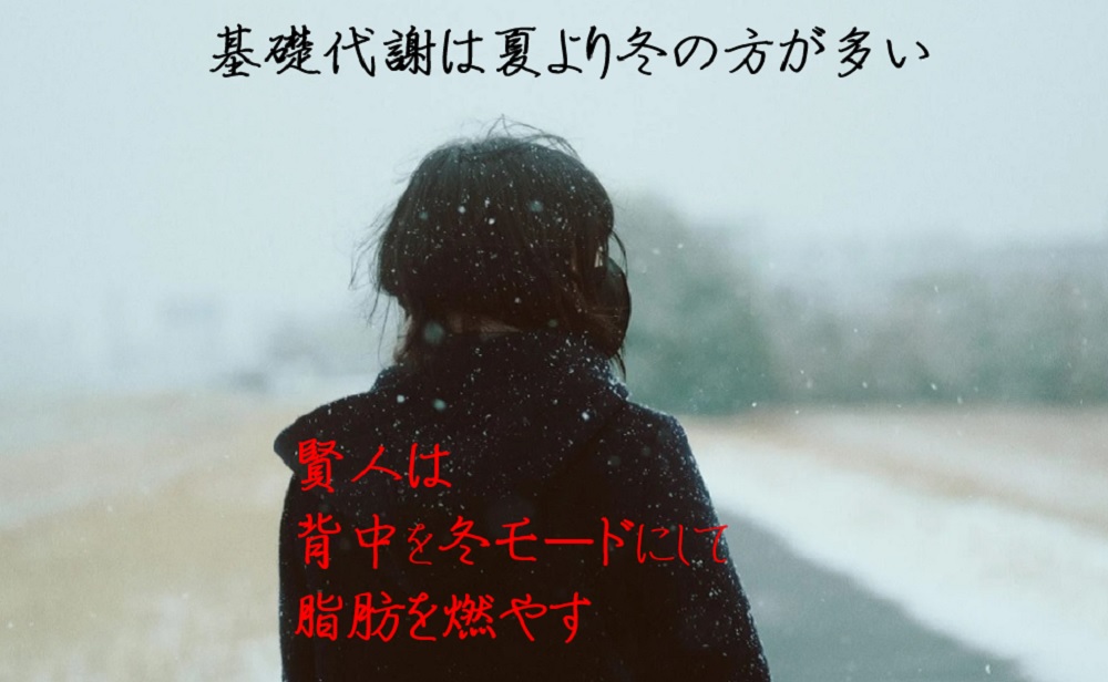 基礎代謝は冬多いからダイエットの季節！ 2時間背中冷却有酸素運動40分と同じ効果