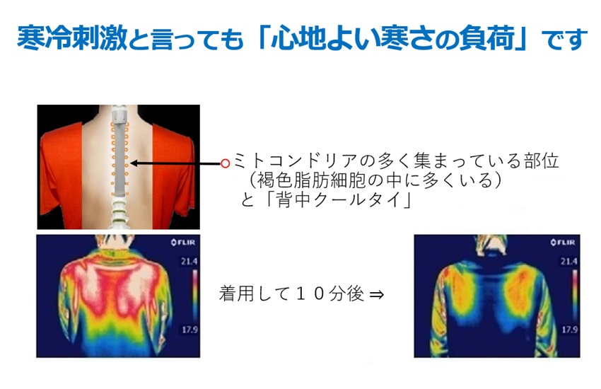 ミトコンドリアを活性化して増やす方法 その２