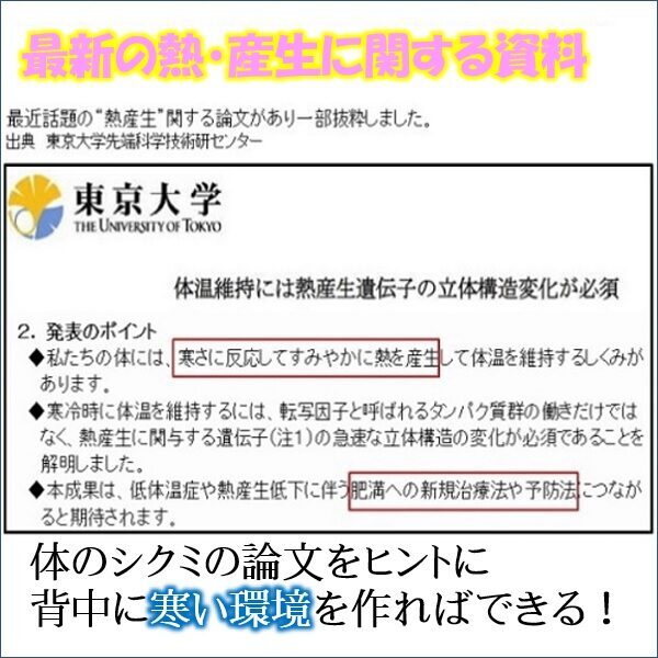 基礎代謝とは？