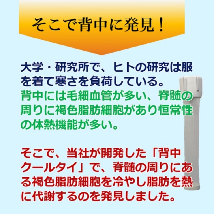 褐色脂肪細胞ダイエットってありうる？ありえない？