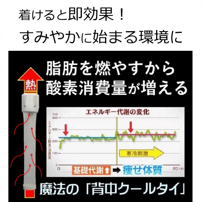 褐色脂肪細胞ダイエットってありうる？ありえない？