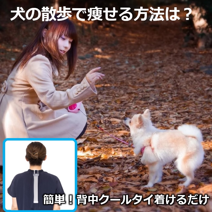 犬の散歩しながらで痩せる方法ご存知ですか？