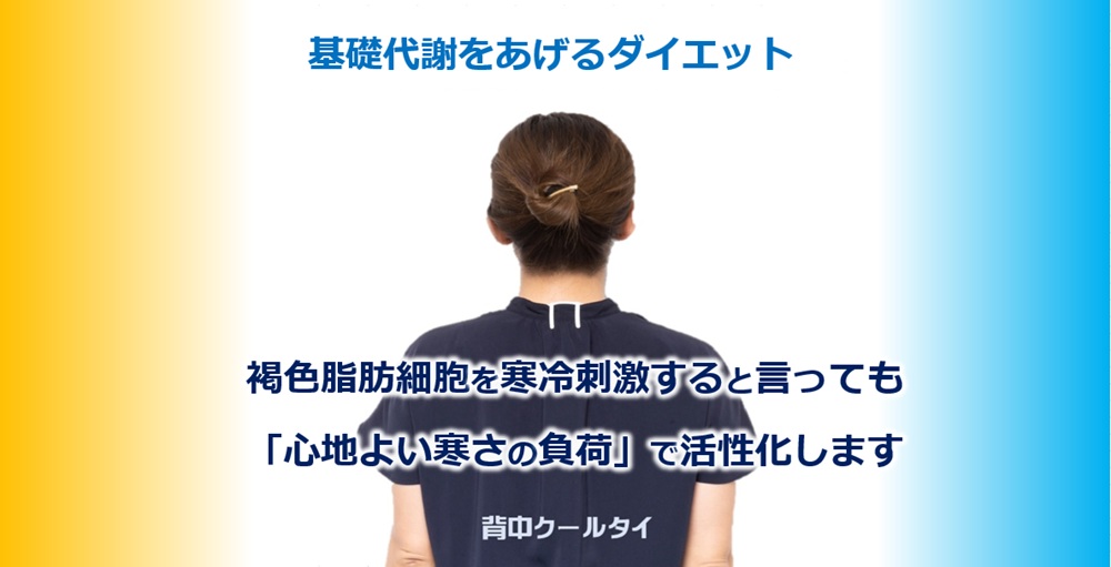 基礎代謝上げる方法 基礎代謝は冬の方が多い 背中冷却ダイエット代謝を比較