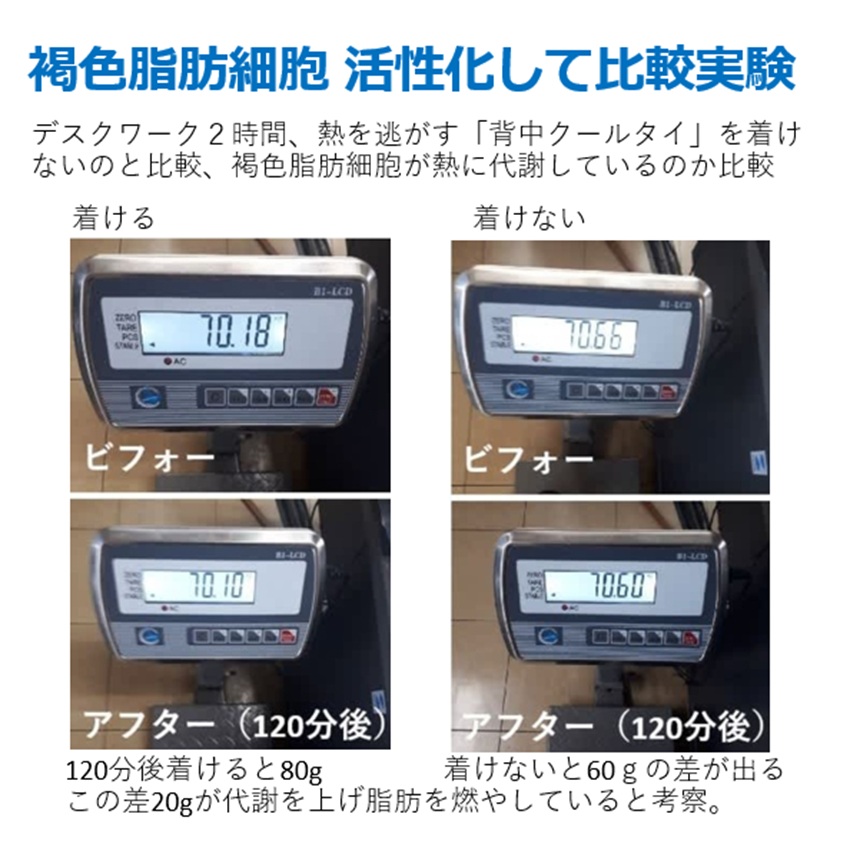 基礎代謝量の季節変動とエネルギーの使われ方も比較実験のヒント