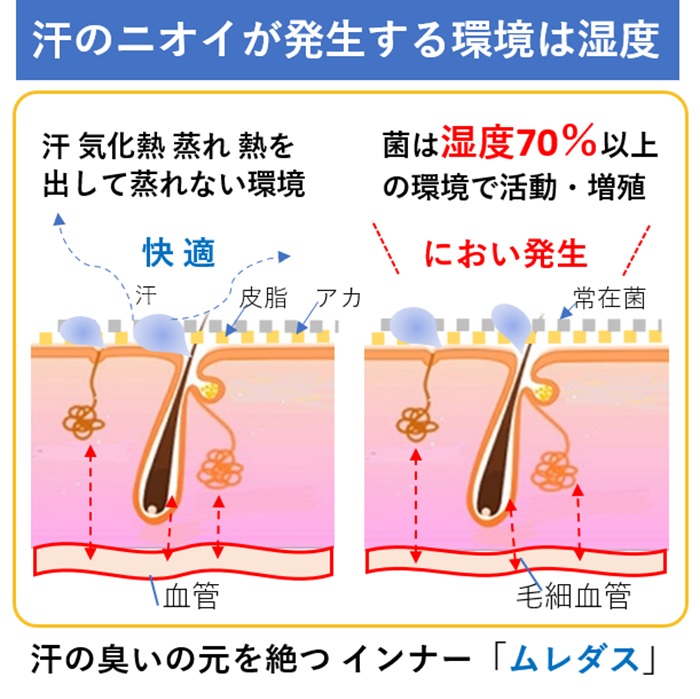 おしりの汗の量って 実は多い