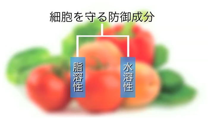 イキイキと生活するのにバランスの良い食事