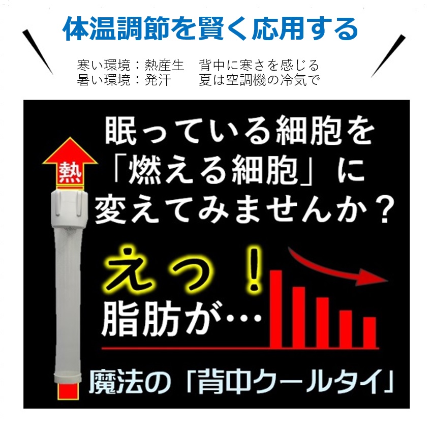 －５㎏実現する方法